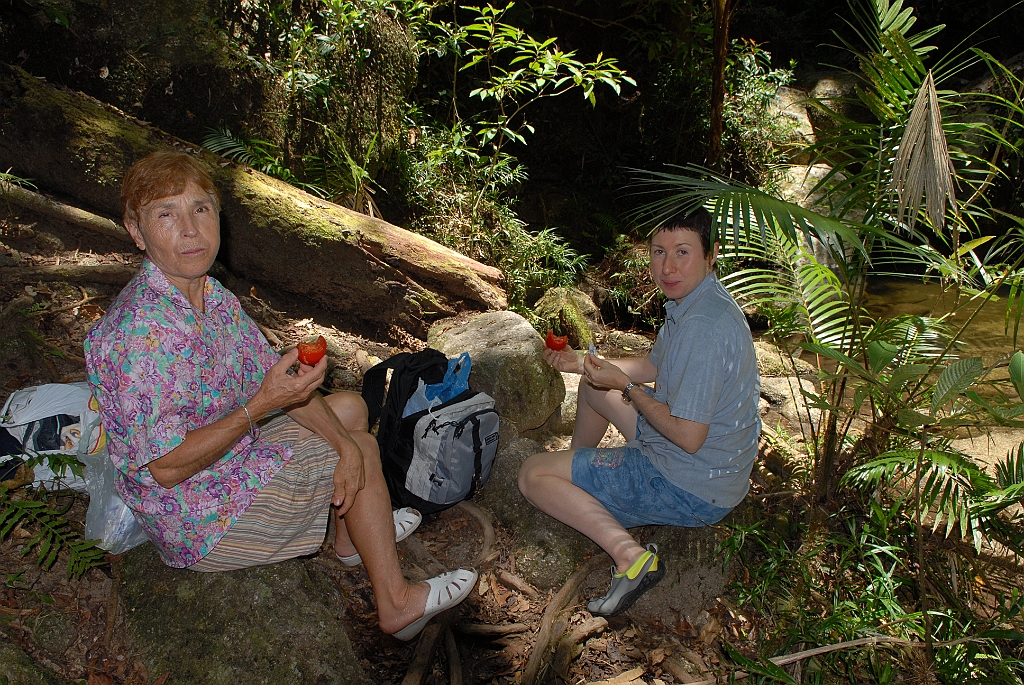 0995 Mossman Gorge.jpg